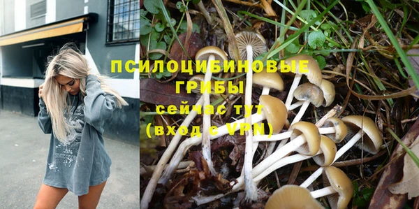 дмт Абдулино