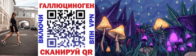 где продают   Жердевка  Галлюциногенные грибы Magic Shrooms 