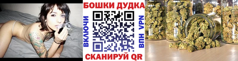 Каннабис сатива продажа наркотиков Жердевка